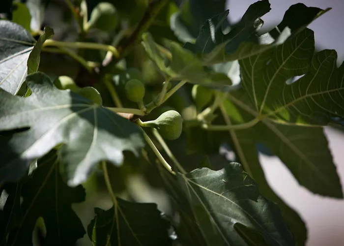 Monika - Two Bedroom With Terrace And Sea View Dom wakacyjny