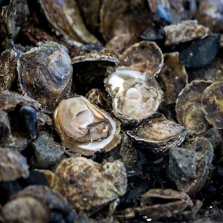 Monika - Two Bedroom With Terrace And Sea View