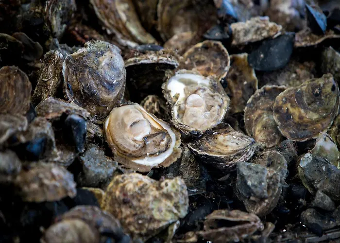 Monika - Two Bedroom With Terrace And Sea View